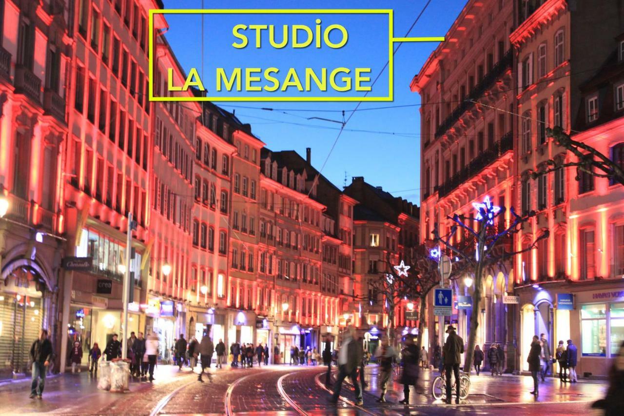 Studio La Mesange Strazburg Dış mekan fotoğraf